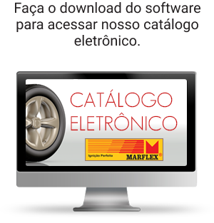 Baixe o nosso
                catálogo eletronico
